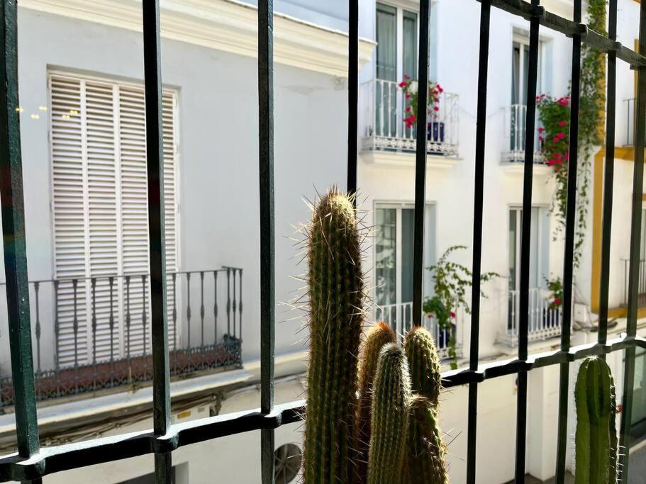 Apartamento Suite Alameda De Hercules Sevilla Exteriör bild